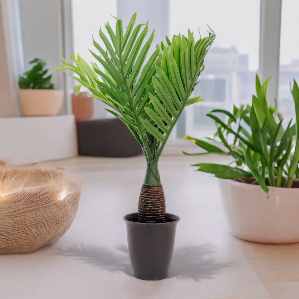 BOTTELE PALM Dekspace