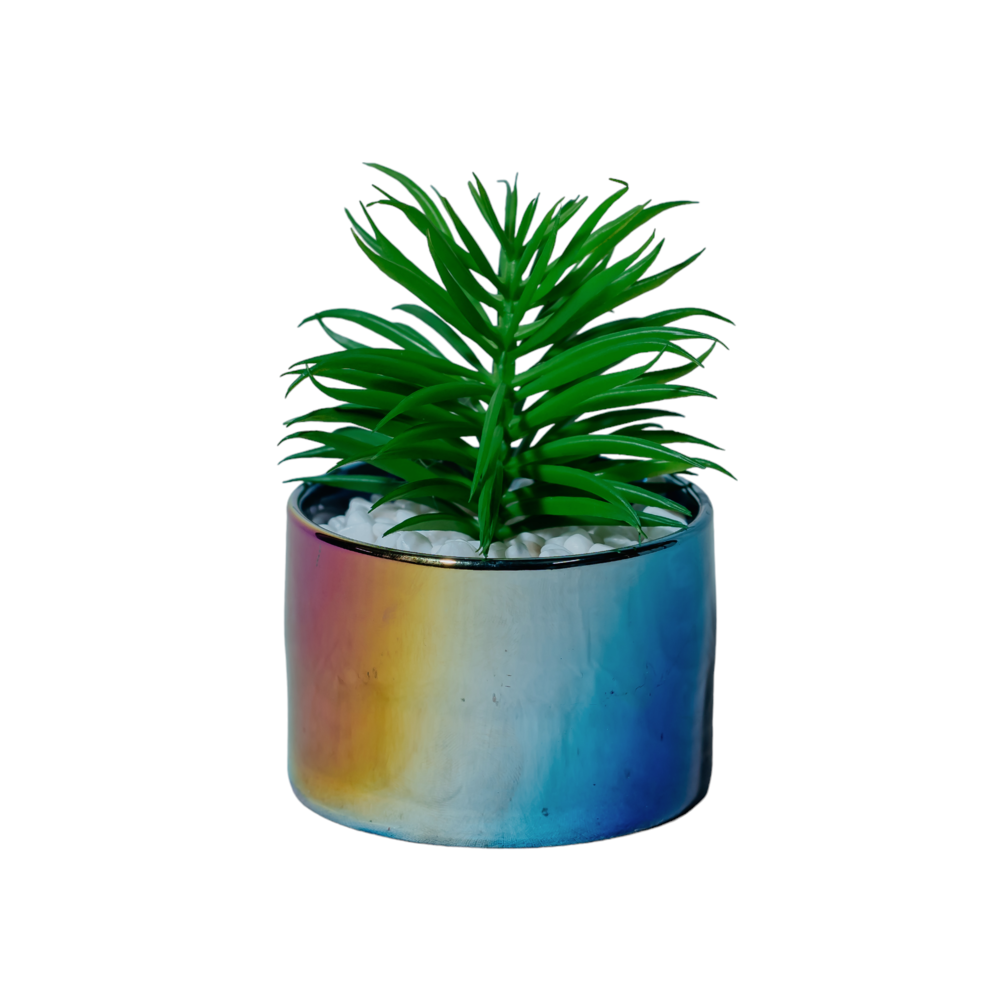 Iridescent Rainbow Succulent Planter Dekspace