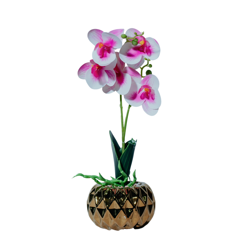 Elegant Pink Orchid in Gold Geometric Pot Dekspace
