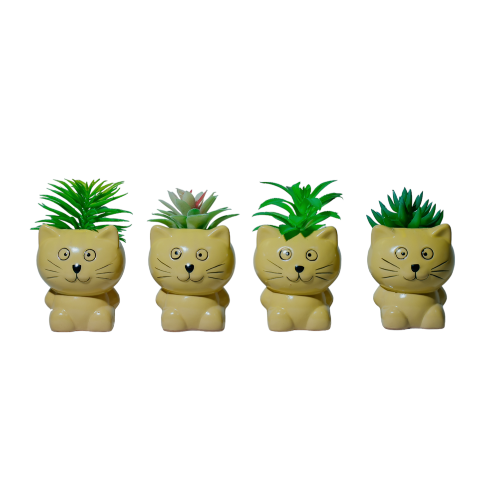 Cat Succulent Planter Dekspace
