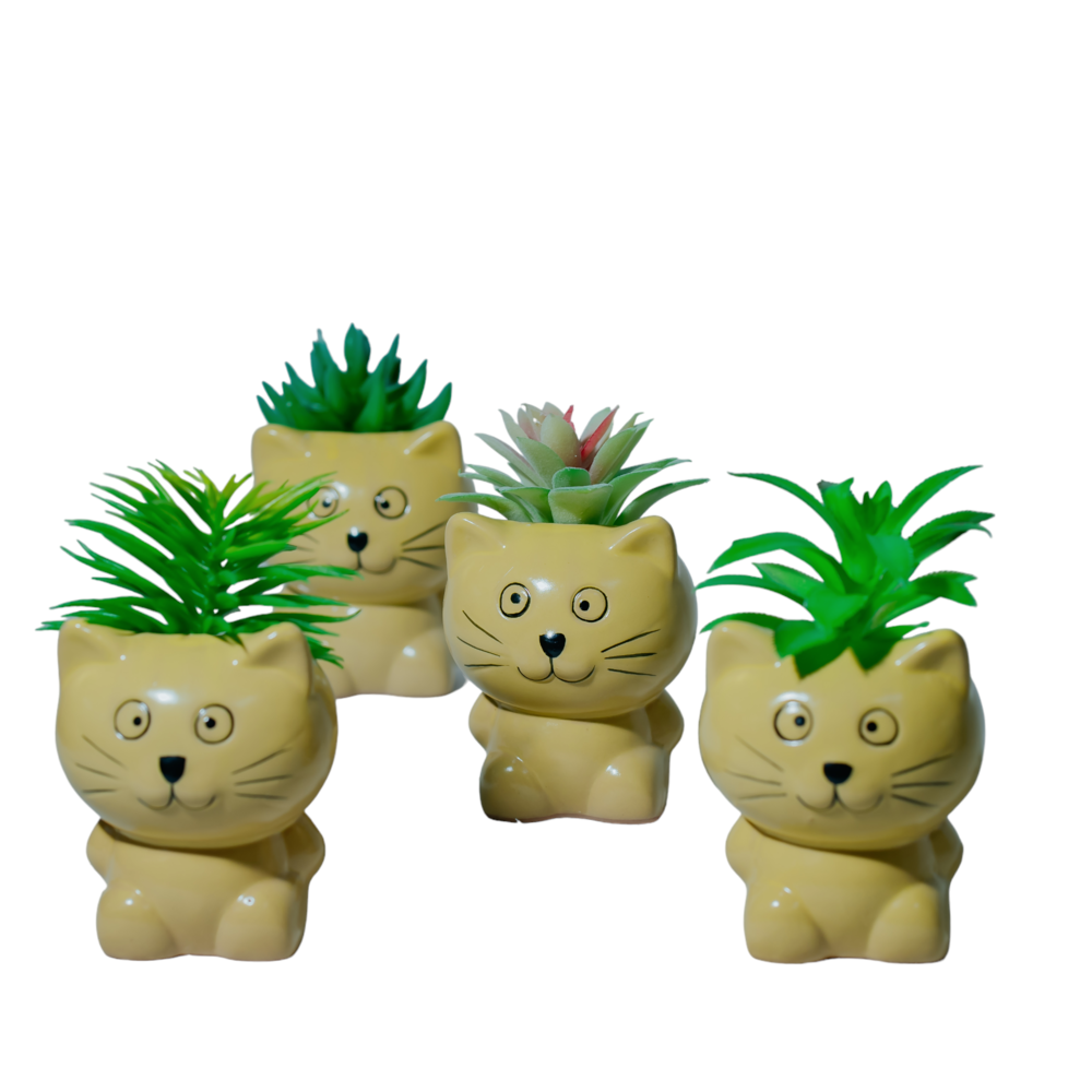 Cat Succulent Planter Dekspace