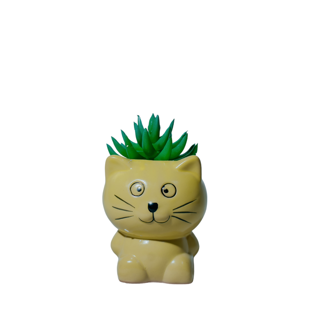 Cat Succulent Planter Dekspace
