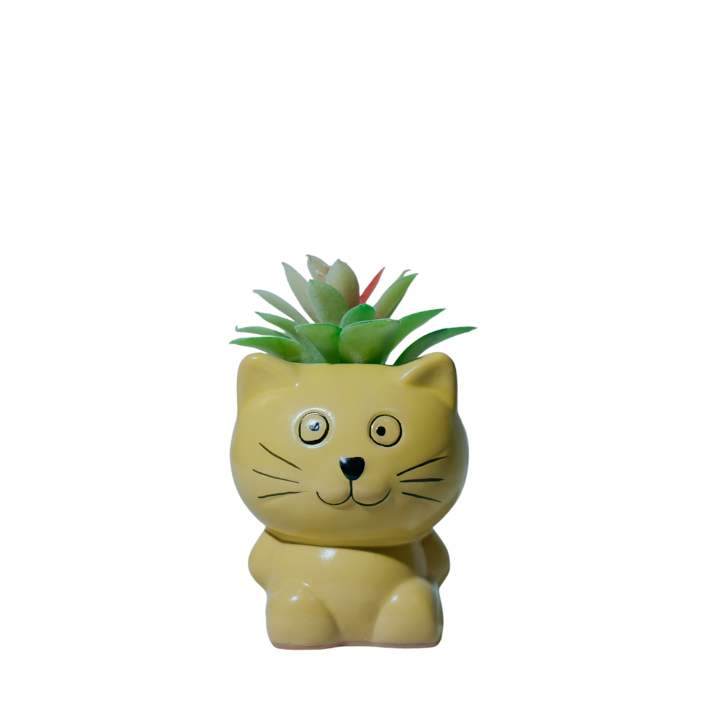 Cat Succulent Planter Dekspace