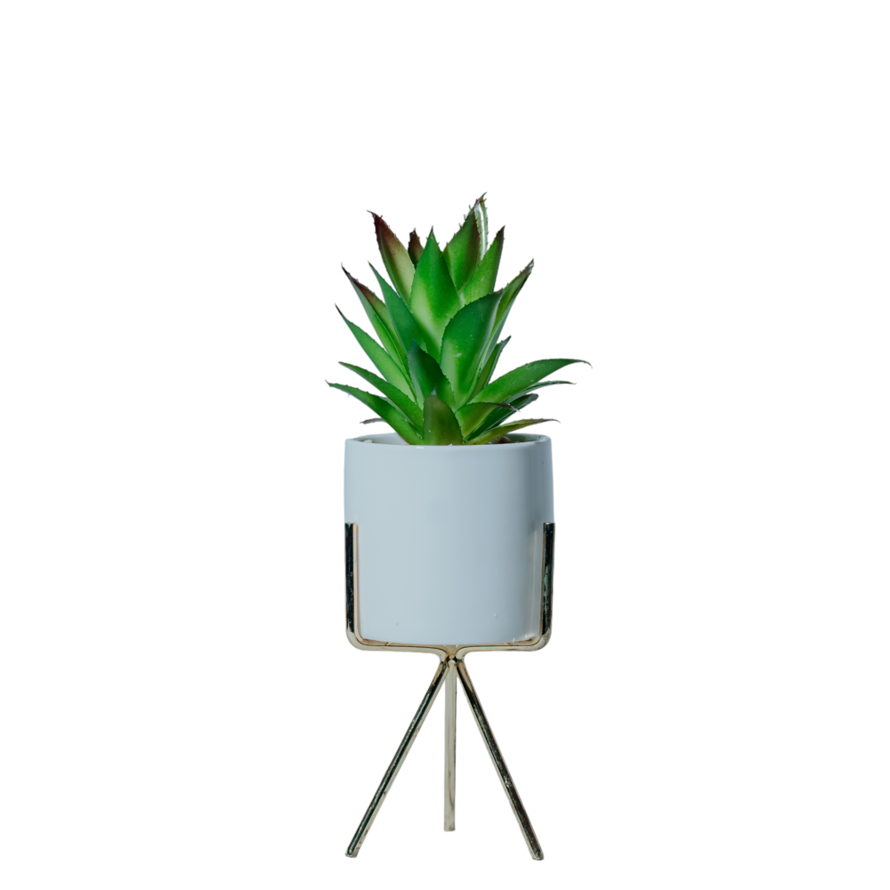 Modern Succulent Planter with Tripod Stand Dekspace