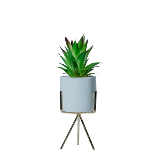 Modern Succulent Planter with Tripod Stand Dekspace