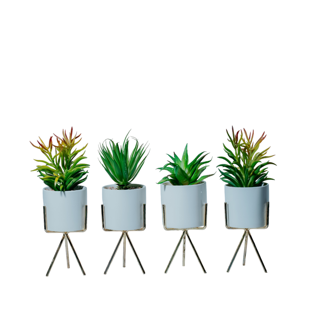 Modern Succulent Planter with Tripod Stand Dekspace