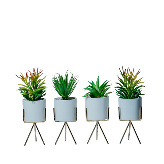 Modern Succulent Planter with Tripod Stand Dekspace