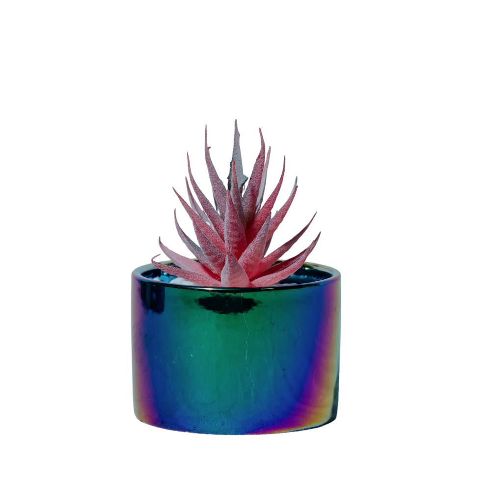 Iridescent Rainbow Succulent Planter Dekspace