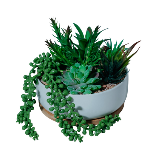 Succulent Garden in Ceramic Planter Dekspace