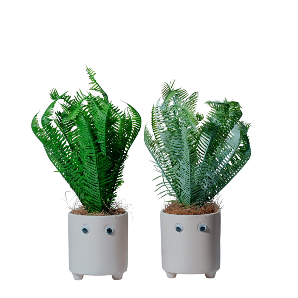 Googly-Eyed Fern Planters Dekspace