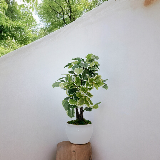 POLYSCIA Dekspace
