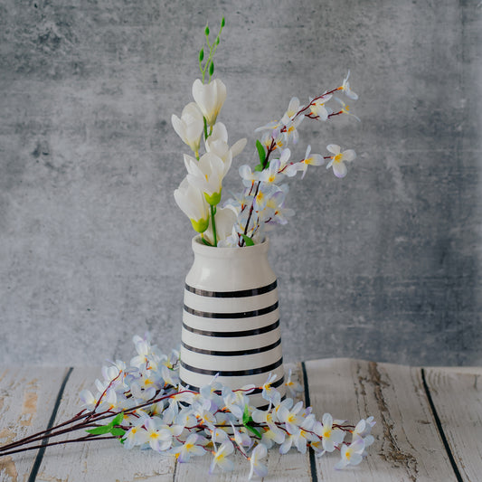 ZEBRA BEAKER Dekspace