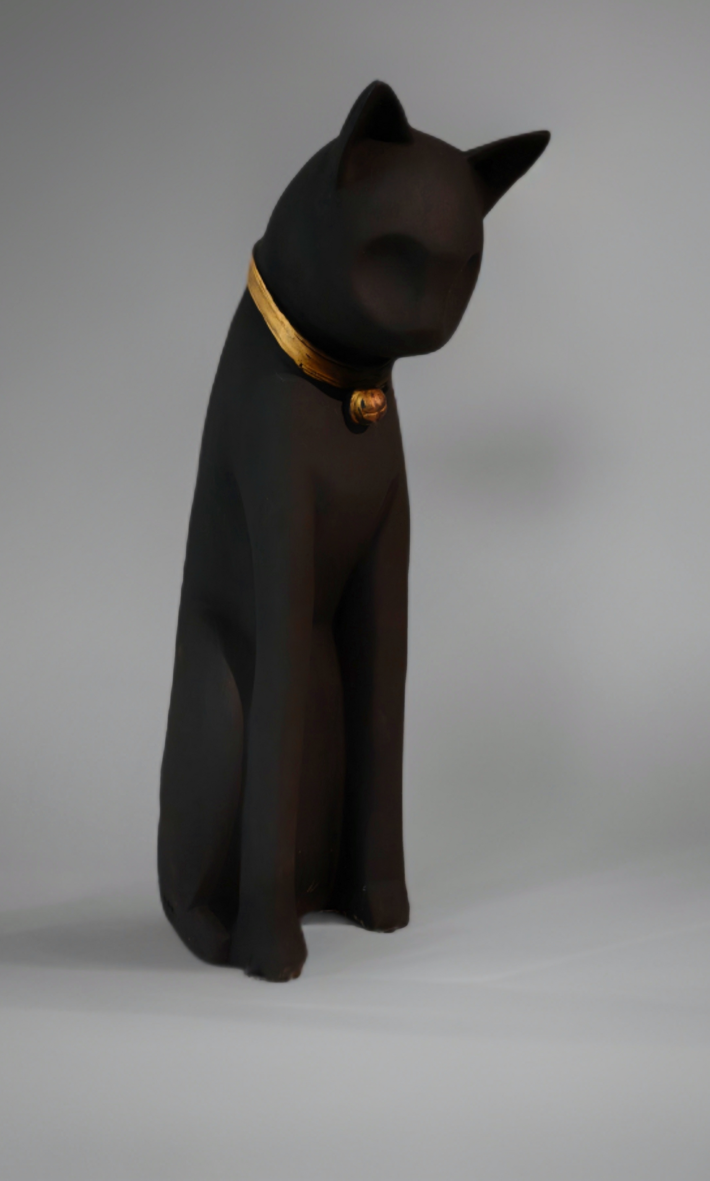 The Cat