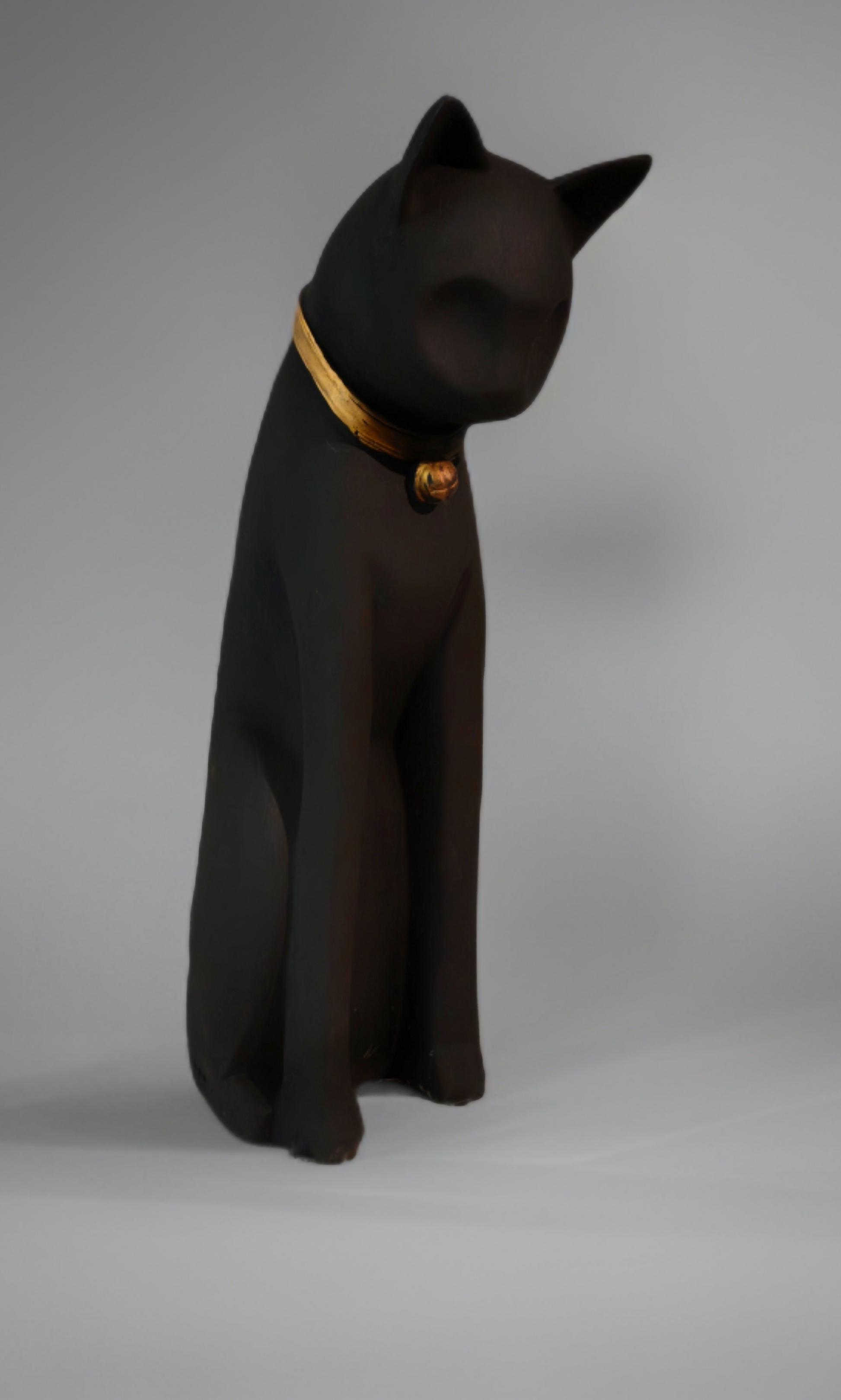 The Cat
